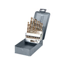 WIERTŁA DO METALU HSS-CO DIN338 SZLIF.SZT.19(1-10MM) PROLINE Image 1